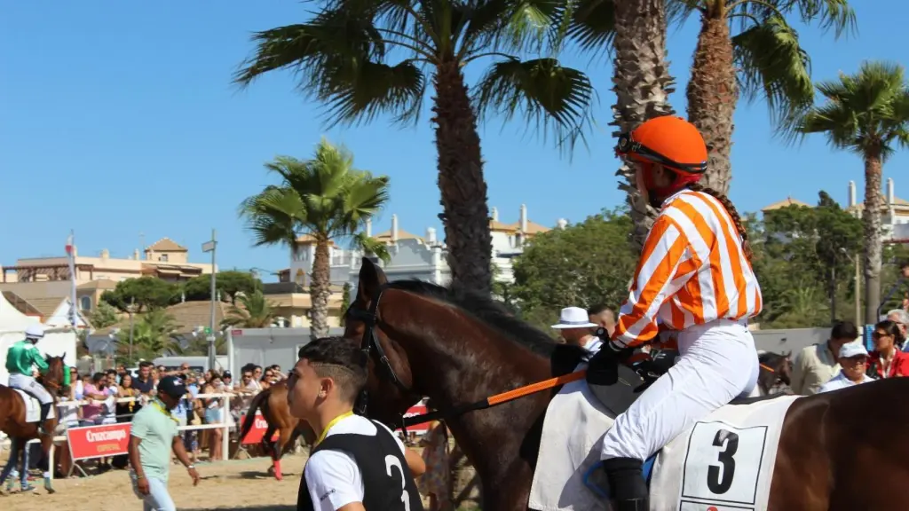 Los lujosos purasangres de las carreras de Sanlúcar: corren solo cuatro años y alcanzan los 70 km/h.