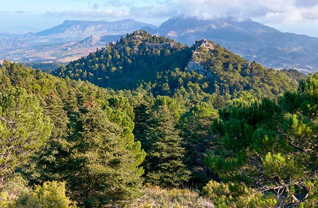 ¿Cómo opera la tecnología española más avanzada de Europa contra incendios forestales?