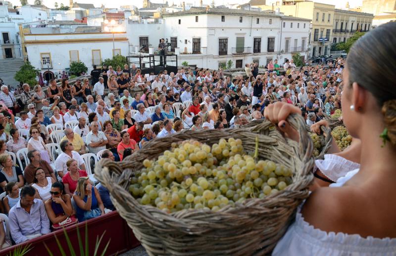 Comienza la Fiesta de la Vendimia en Jerez: un brindis por una cosecha que promete.