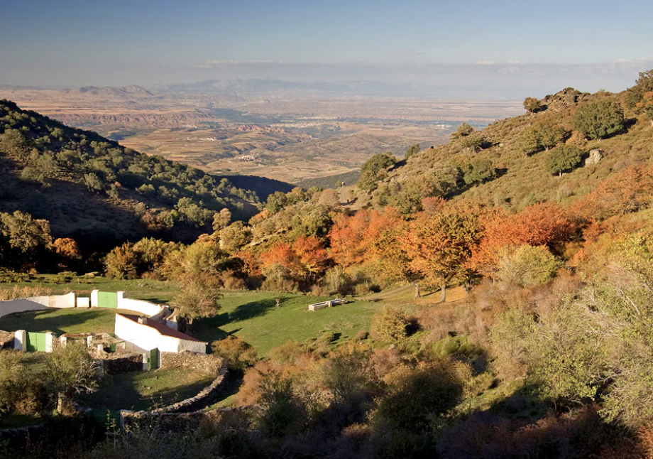 La ruta de senderismo perfecta para este otoño: descubre un ‘bosque encantado’ de baja dificultad.